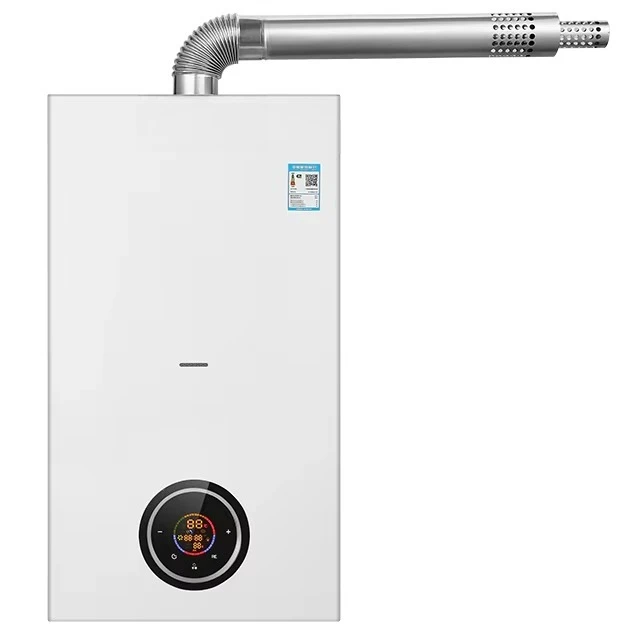 Efficient Model 32kw Gas Boiler Double-circuit Boiler  for Heating School Heating System