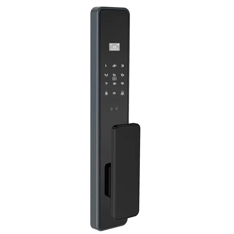 

Facial Recognition B66 Fully Automatic Intelligent Lock Semiconductor Fingerprint Password WiFi Visible Lock