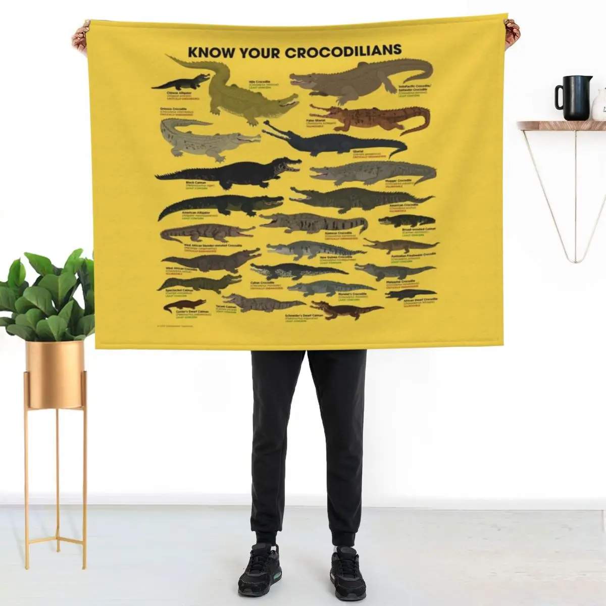 Know Your Crocodilians Throw Blanket Retros Plush Luxury St Heavy for winter Hairys Blankets
