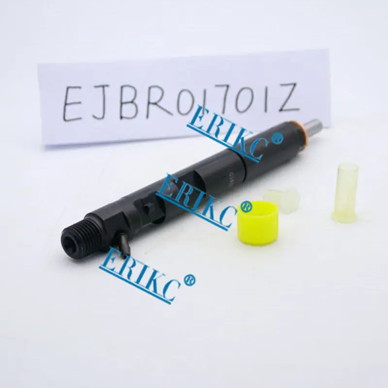 R01701Z Fuel Injection EJBR01701Z for RENAULT Kangoo Clio 1,5dci Delphi Injector