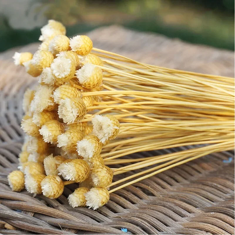 50pcs/lot Natural Art Dried Fake Flower Arrangement Party DIY Artificial Flower for Home Garden Decoration Valentine's Day Gift