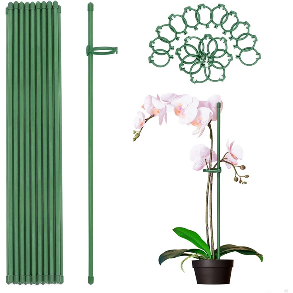 

Plastic Effective Plant Protection With Durable Plant Support Stick Easy To Stick For Plant Support