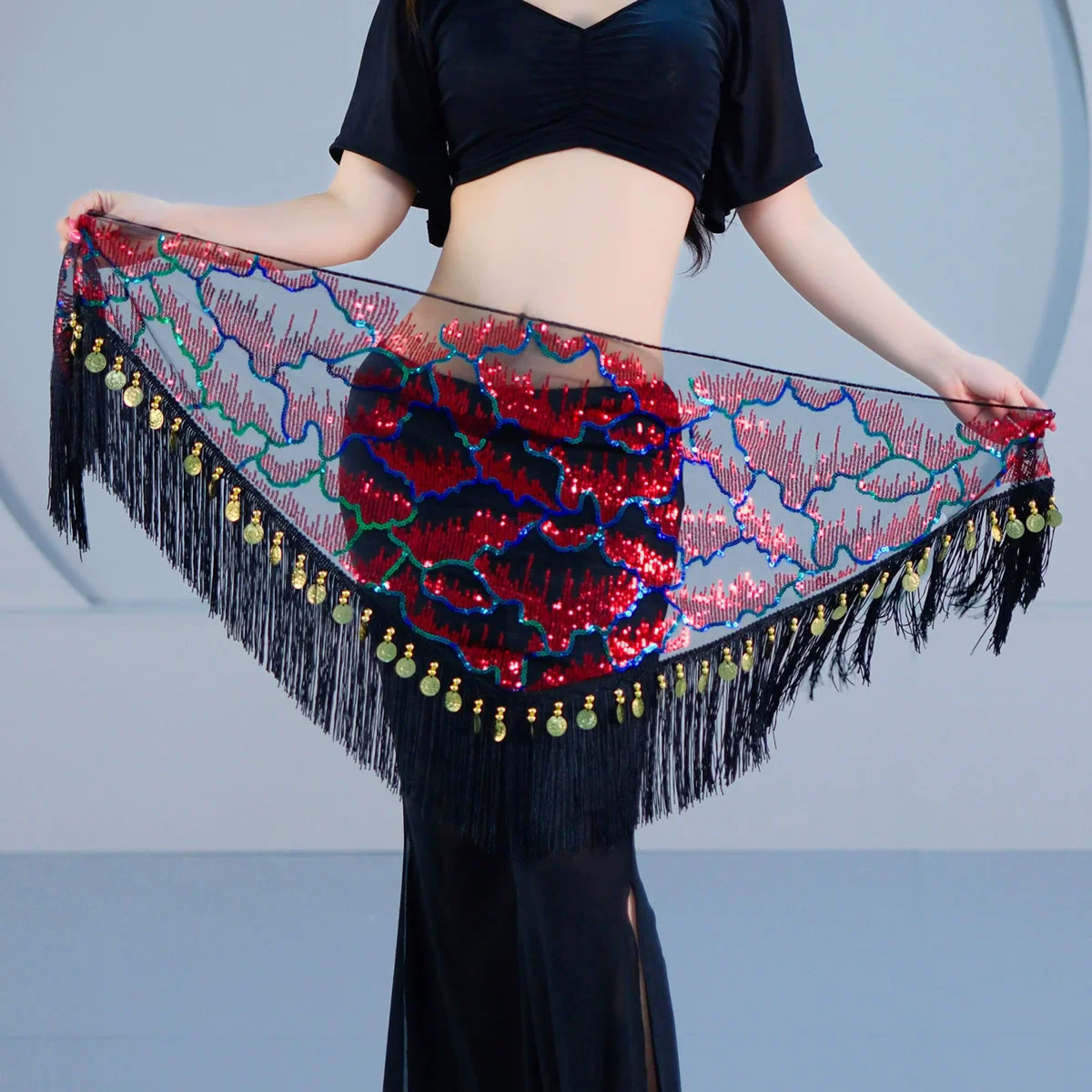Sexy Translucent Belly Dance Tassel Hip Scarf Women Dance Wear Waist Chain Bellydance Hip Scarf