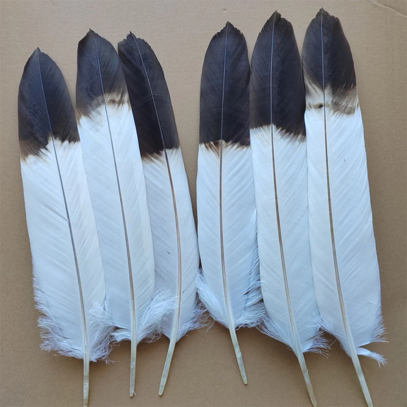 

6 шт., натуральные красивые перья орла, белые и черные, большие перья ястреба для птиц длиной 40-50 см, в наличии влево и вправо