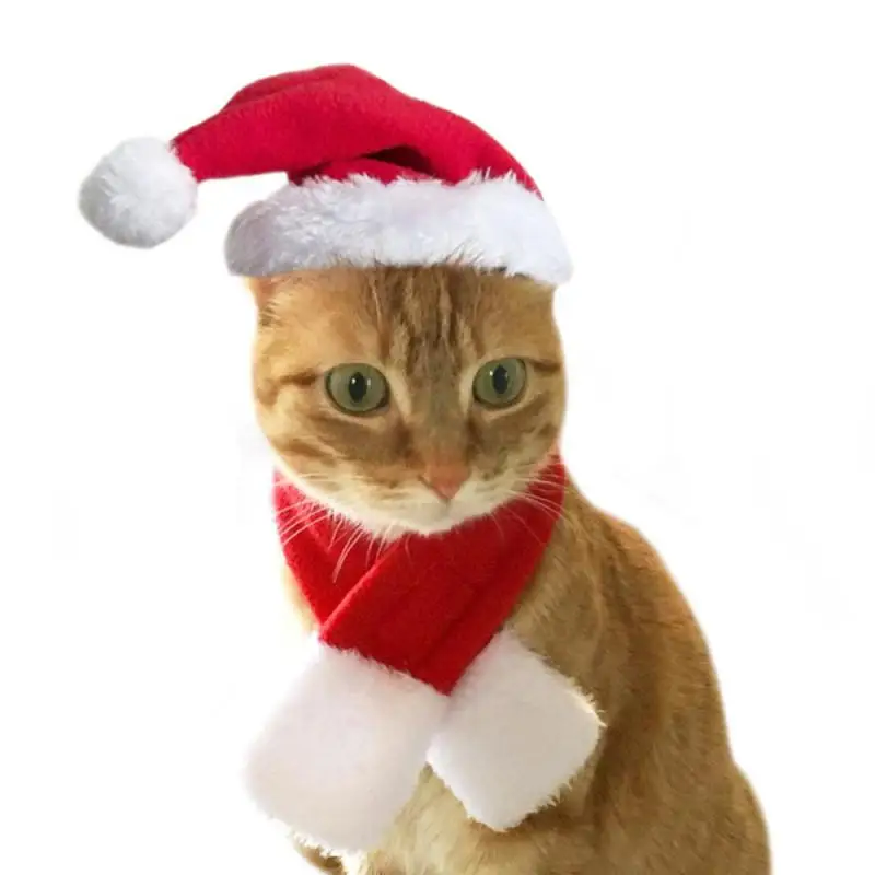 Funny Cat Christmas Costume Santa Cosplay Pet Christmas Cape Dress Up Clothes Warm Red Scarf Cloak With Hat Pet Accessories