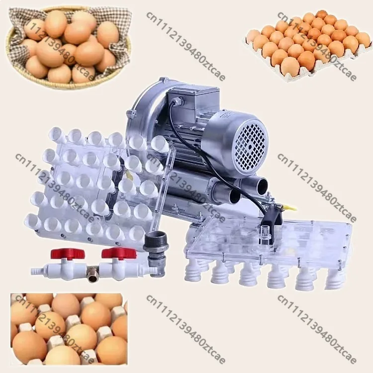 Hot Sale Vacuum Egg Lifter Picker Transfer Machine Egg Suction Cup Egg Loading Tool