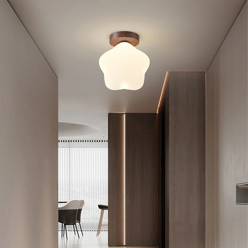 الشمال LED ضوء السقف ستار المدخل شرفة الجدار مصباح إضاءة داخلية غرفة نوم المعيشة غرفة الطعام الديكور أضواء السقف #1