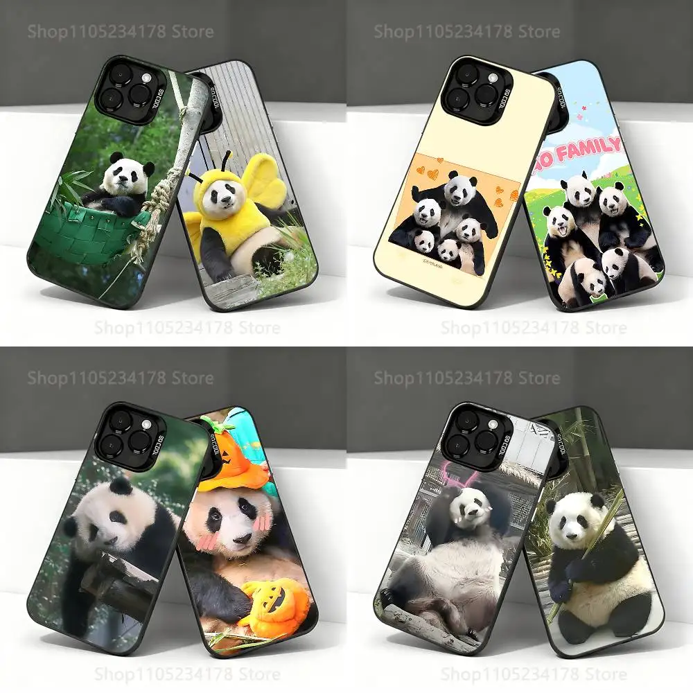 

F-Fubao family Cute Panda Phone Case For iPhone 17,16,15,14,13,12,11,Pro,Max,Plus,E,Air,Mini Anti Fall Black Bumper