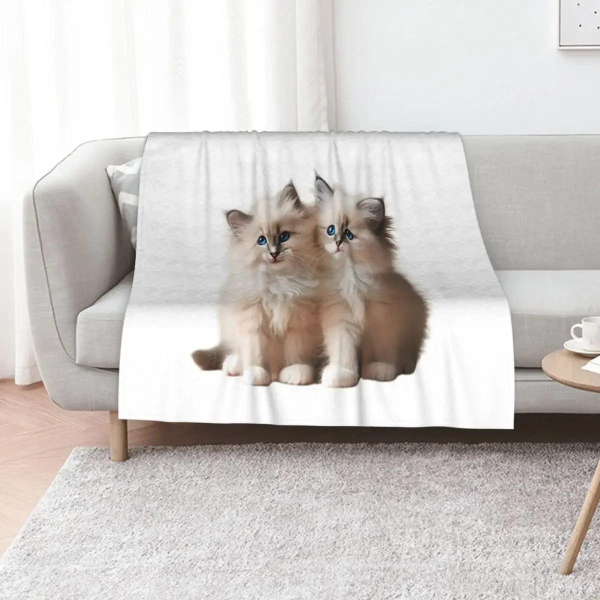 

Ragdoll Kittens Throw Blanket Thin Hairys Summer Giant Sofa Blankets