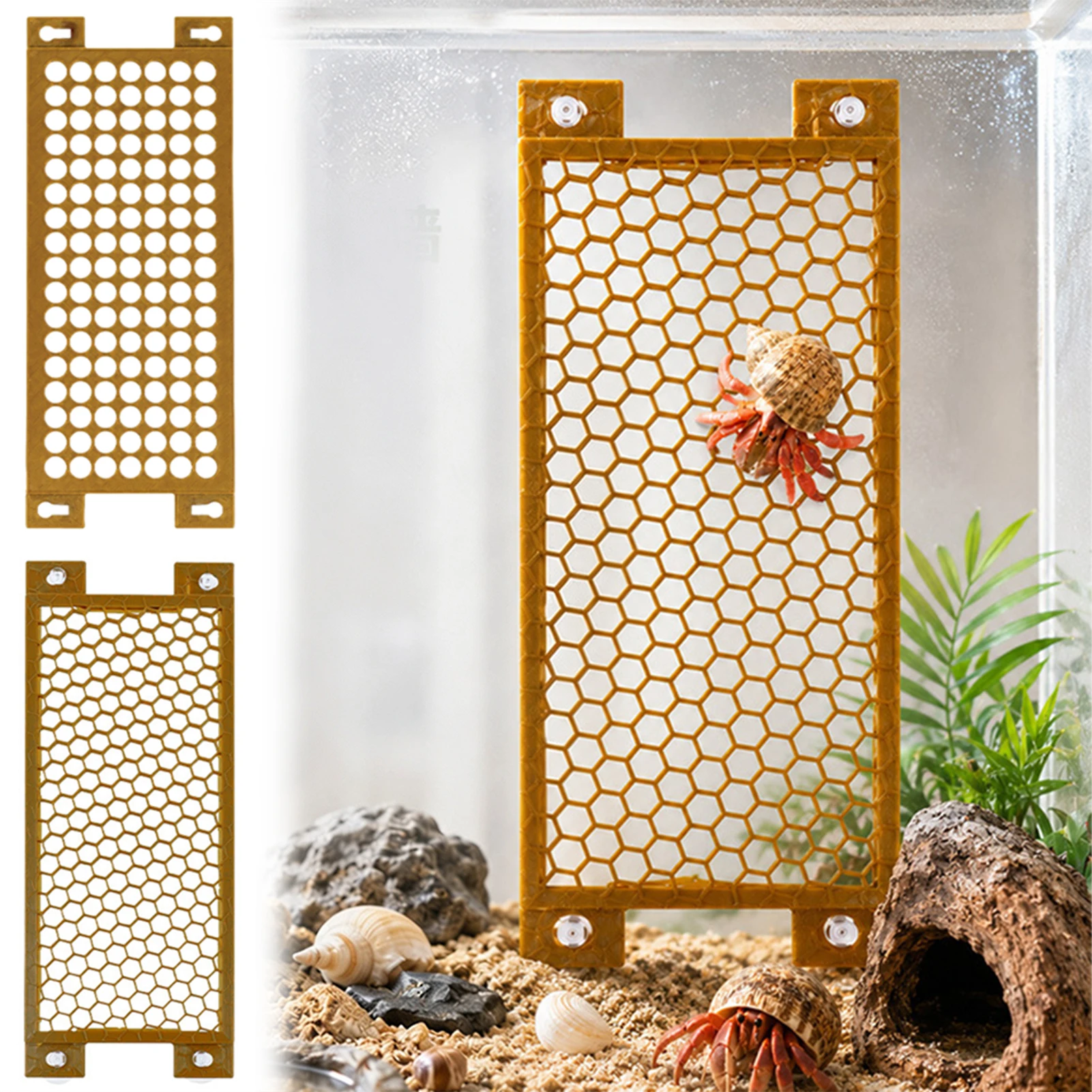 Hermits Crab Ladder Climbing Toy Habitats Layouts Climbing And Exploration Landscaping Mounting Small Animal Accessories