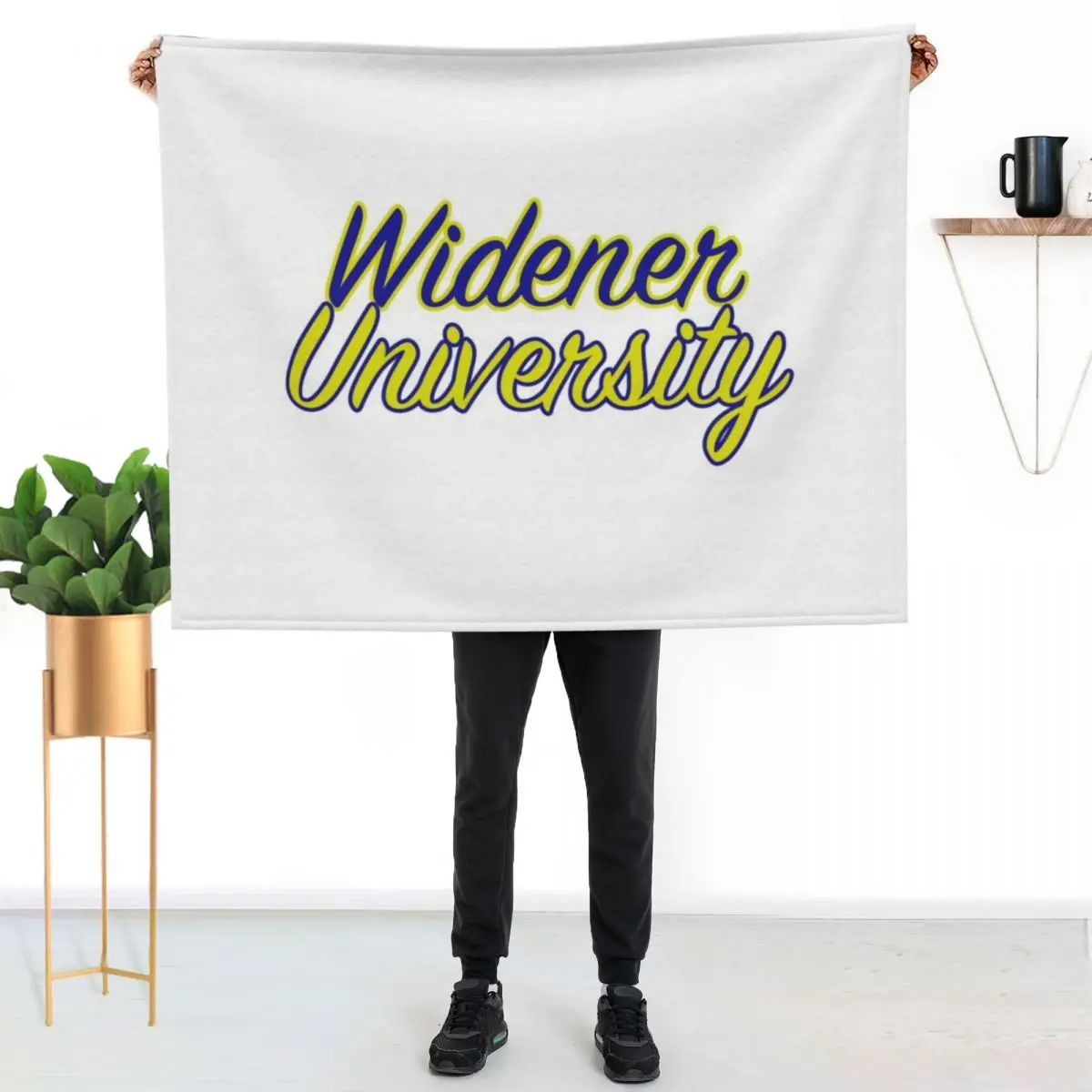 Widener University Throw Blanket Decorative Sofa Decorative Sofas Thermals For Travel Nap Thin Thins Blankets