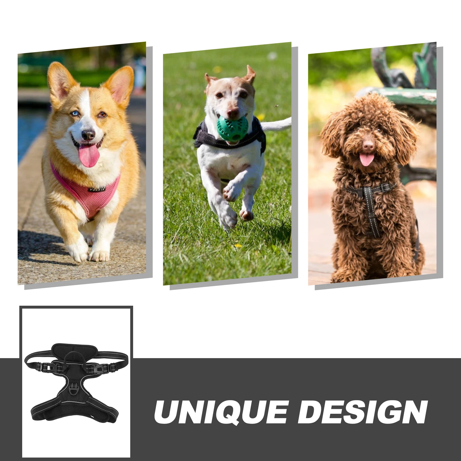 

Pet Camera Harness Mount Strap Reflective Threads Bungee Leash Chest Harness Dog Fetch Washable Durable Soft Padded