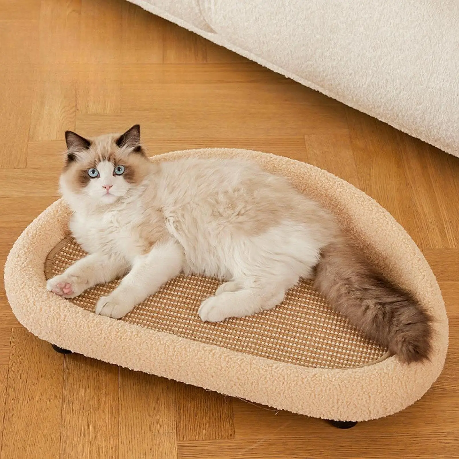 

Pet Sofa Bed Nonslip Grinding Claw Toys Wear Resistant Cat Scratcher for Small Dogs Puppy Indoor Cats Small Medium Cats Kitten
