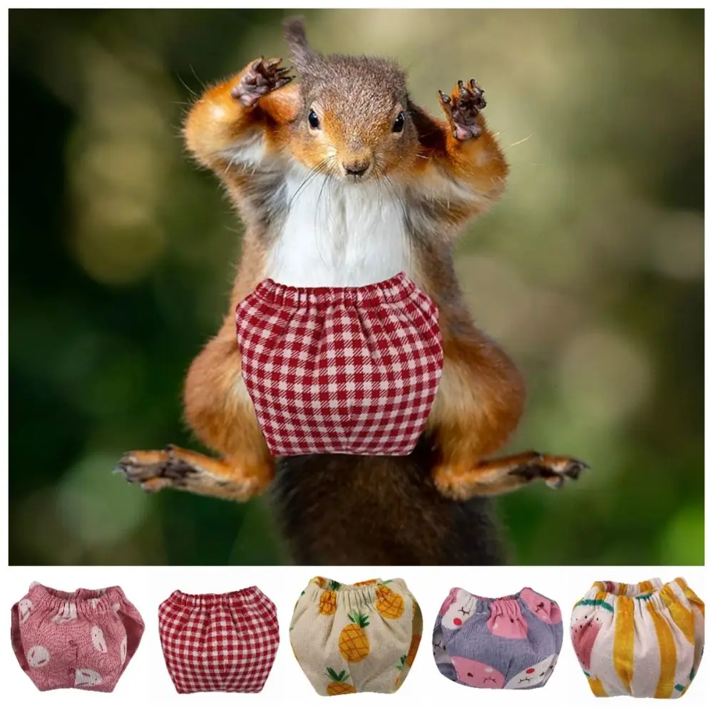 Absorbent Squirrel Diapers Flexible Closure Potty Training Pet Training Pants Washable Leak-Proof Small Pet Diapers Rat