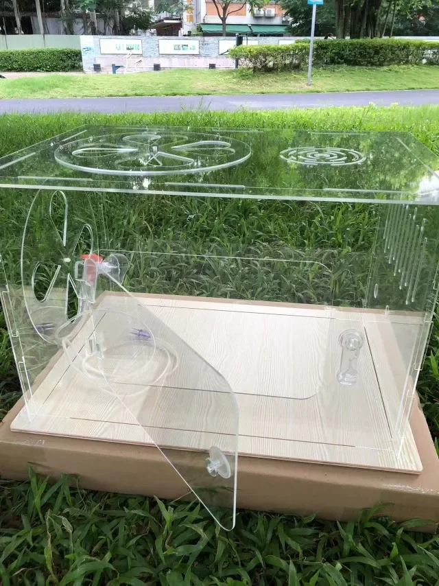 Fully transparent cat oxygen chamber, cat , cat specific o