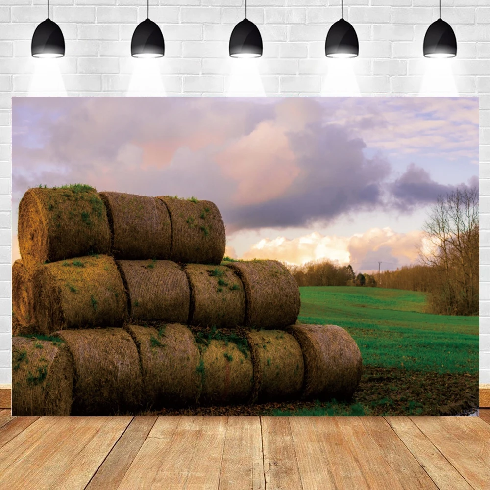 농장 녹색 잔디 실제 풍경 사진 배경 용수철, 흐릿한 야외 장면 사진 포토콜 배경 사진 스튜디오