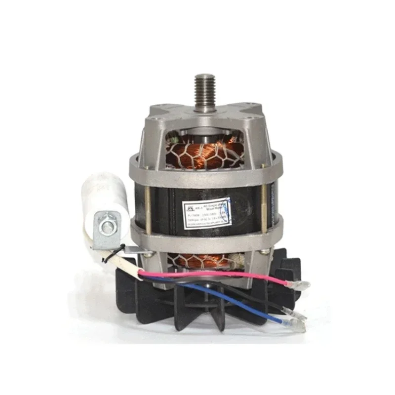 cement mixer ac motor 220v AC Electric 230v ac synchronous motor universal acmotor 1000w 220v 450w universal motor