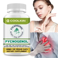 Pycnogenol - Improve Blood Circulation, Support Respiratory and Heart Support, Skin Care