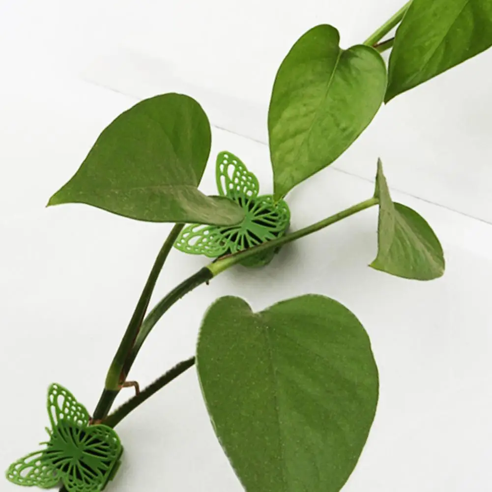 10Pcs Invisible Plant Climbing Wall Fixture Clips Plastic Rattan Vine Bracket Fixed Buckle Leaf Clips Traction Holder Garden