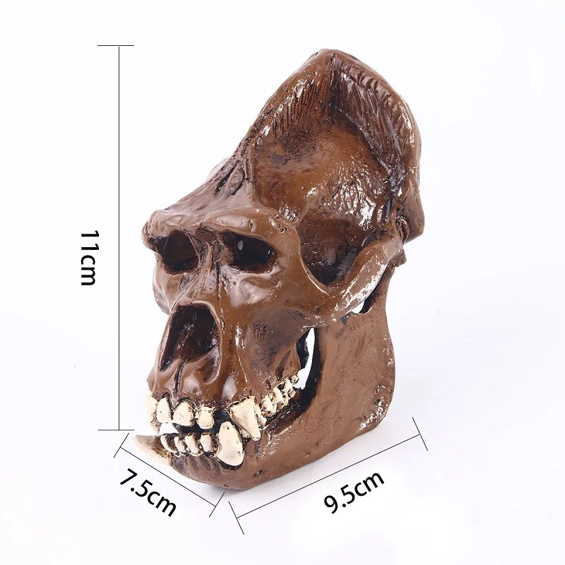 Gorilla Skull Model Chimpanzees Skull Resin Art Crafts Animal Skeleton Research Sketch Teaching Specimen Collection Sculptures