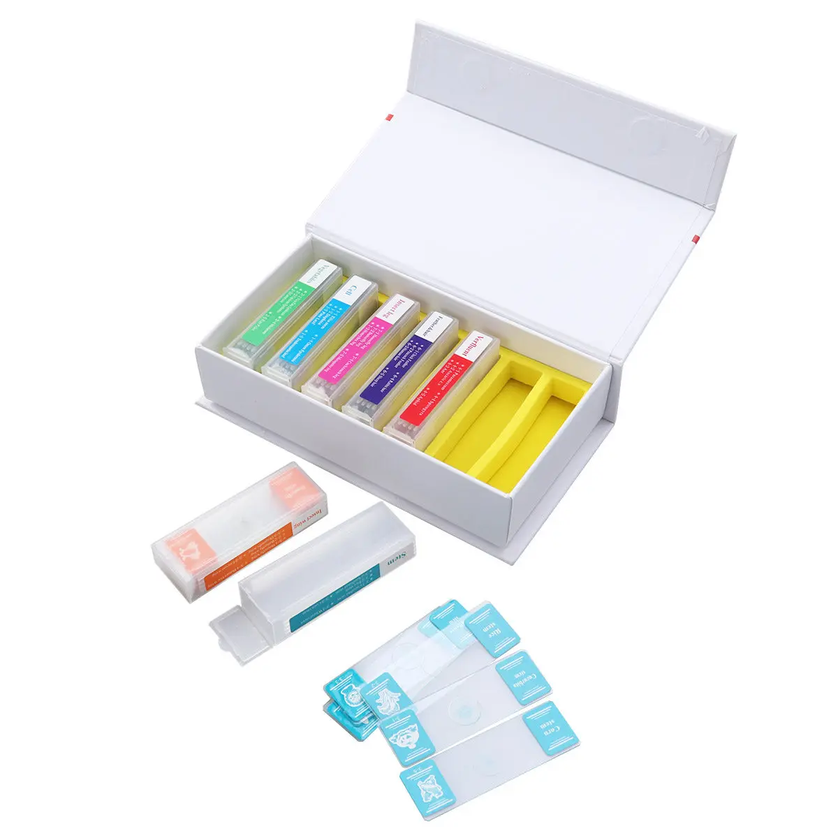 

35pcs Slide sample Set For Science Education 7 Types Cell Vegetable Tissue Insect Wing Stem Leg Microscopic
