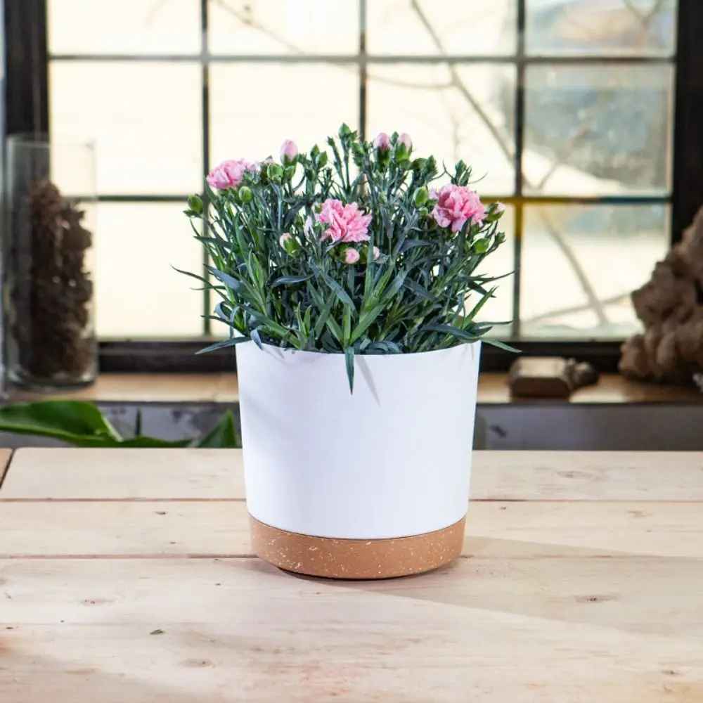 Plastic Plant Pot Separation Design with Drainage Tray Succulent Planter Flowerpot Circular Bonsai Potted Flowerpot