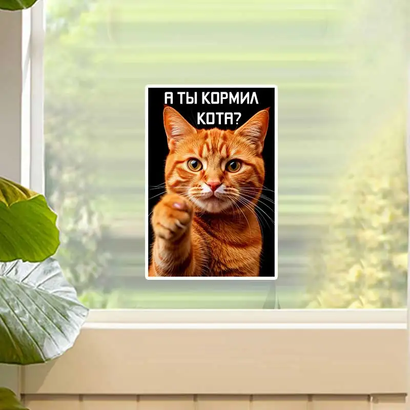 Funny Cat Wall Stickers 