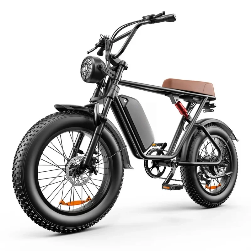 48V 17.5Ah/20Ah 1000W Motor Road Bike — 50/h Top Speed, Equipped with 20-Inch Off-Road Wide Tires and Steel Frame