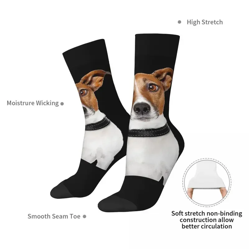 Y2K Jack Russell Terrier Dog Funny Harajuku Absorbing Stockings All Season Long Socks Accessories For Unisex Birthday Present