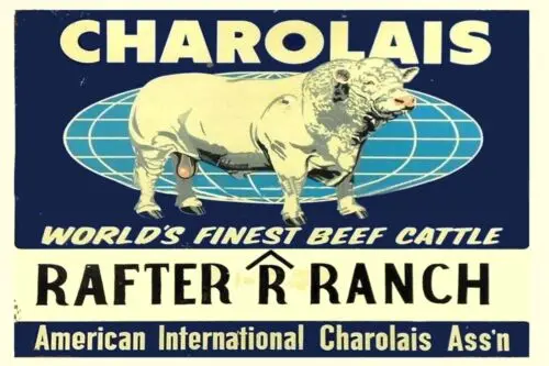 Letrero de metal Charolais Rafter r Ranch Fine Beef cattle, 8 x 12, totalmente metálico