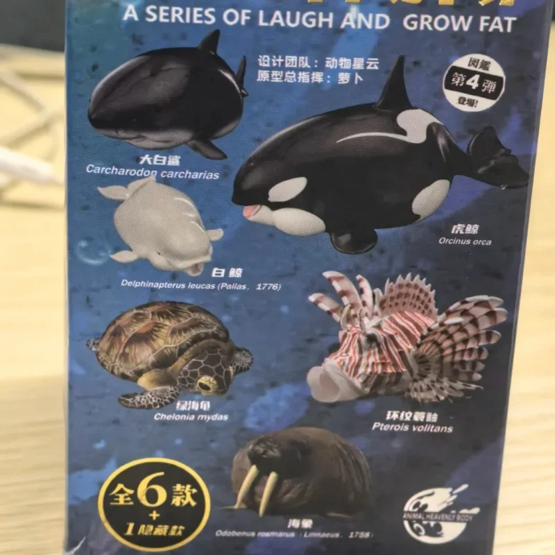 Animal Planet A Series Of Laugh And Grow Fat Animal Figure Ocean Biology 4th Generation Cute Doll Trendy Play Toy Birthday Gift