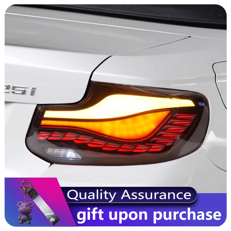 

Автомобильные аксессуары Лампы для BMW 2 серии F22 218i 220i 225 M2 2014-2021 Задние фонари Светодиодные лампы указателя поворота DRL Инструмент для ремонта задних фонарей