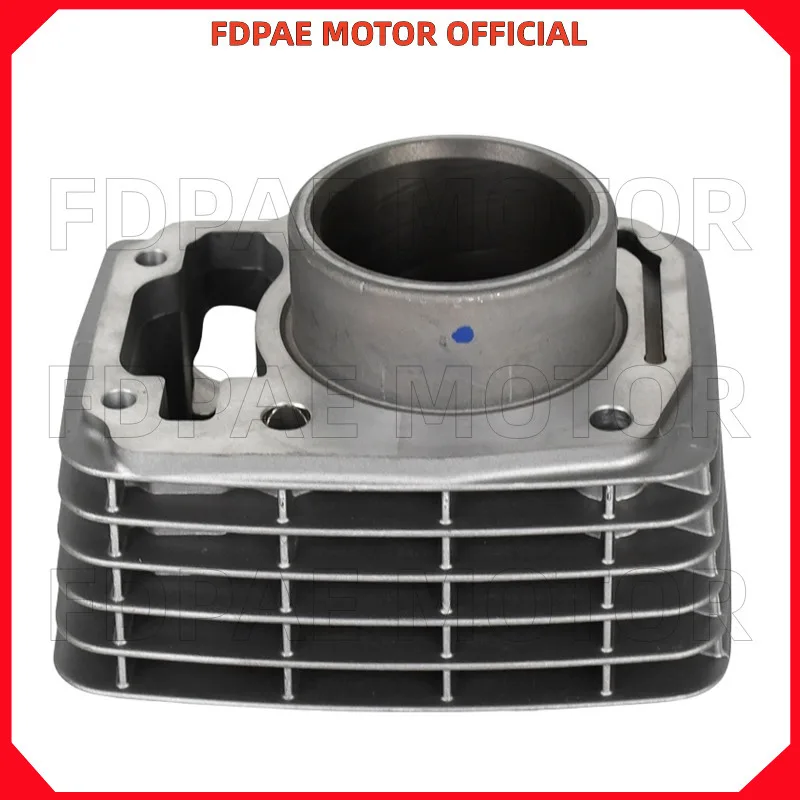 مجموعة كتلة الأسطوانة لـ Wuyang Honda Wh150-3a-3b-3c-b-6