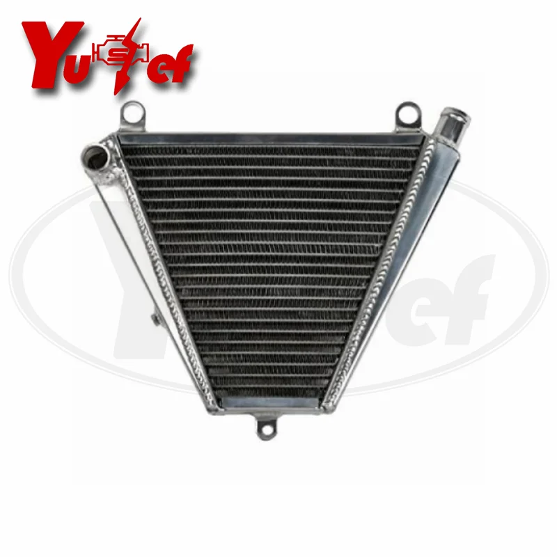 

For DUCATI Panigale 899 1199S 959 V2 Motorcycle Radiator Oil Cooler Cooling Protector Accessories