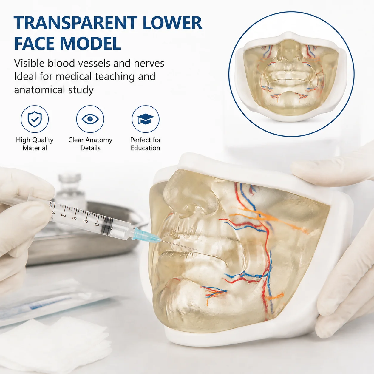 Transparent Cheek, Mid & Lower Face Filler Injection Mannequin Practice Realistic Stimulated Jaw Model