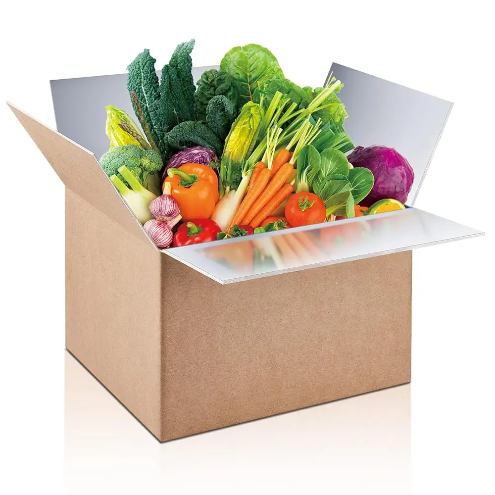 

1 Piece Insulated Shipping Boxes, 9\ x 5\ x 6\ Double Insulated with Aluminum Foil Liner Thermal Insulation Cold Reusable Ma
