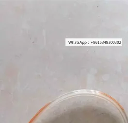 Service Kit Seal DG…