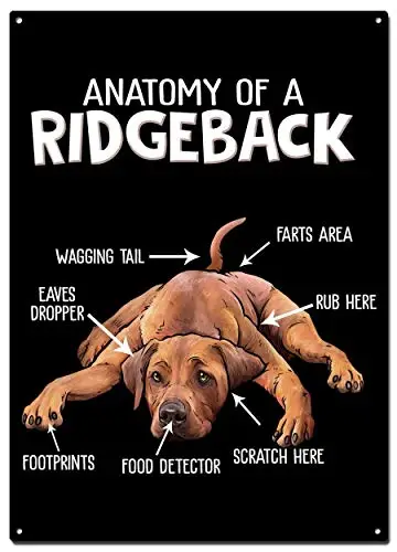 1pcs,Rhodesian Ridgeback Metal Tin Signs, Dog Poster, Decorative Signs Wall Art Home Decor -  (20X30 cm)