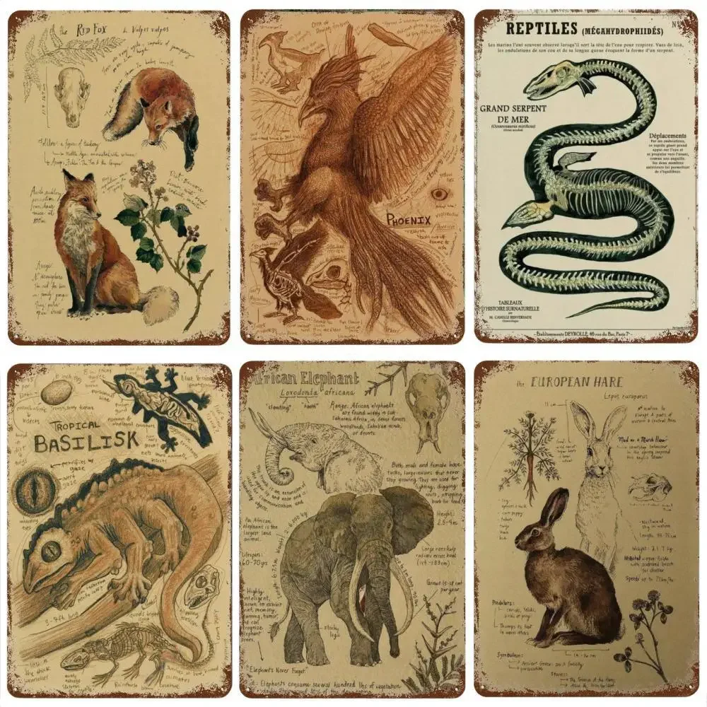 Natural Study Red Fox/Dragon/Elephant/Phoenix/Thestral/Wolf/Hare Poster Metal Tin Sign Vintage Plaque Home Room Club Wall Decor