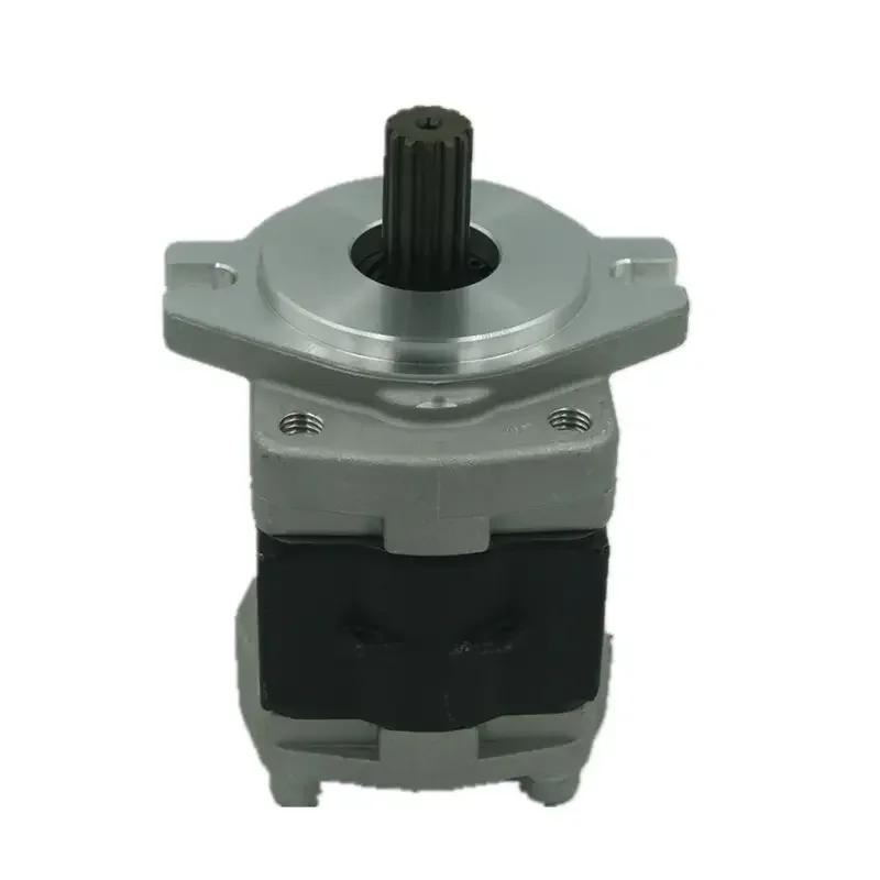 

Hydraulic Gear Pump Forklift Gear Pump Excavator Pump SGP1A16R963 SGP1A16R363 SGP1A20R009 SGP1A23 Hydraulic Gear PumpR010
