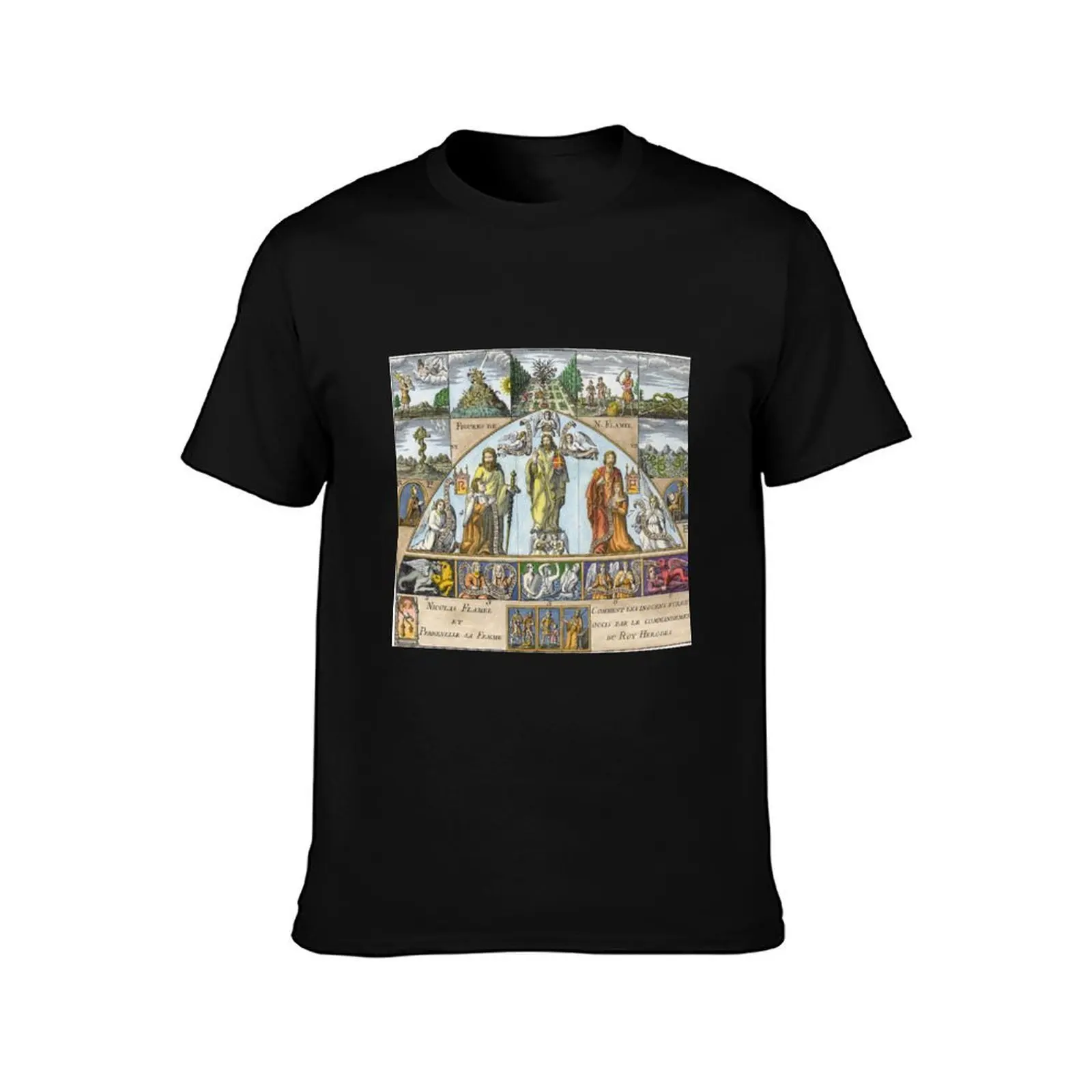 The Amazing Magic of Alchemy Collection #19 T-Shirt, Funny Graphic Print Tee, Unisex Cotton Casual Short Sleeve Top
