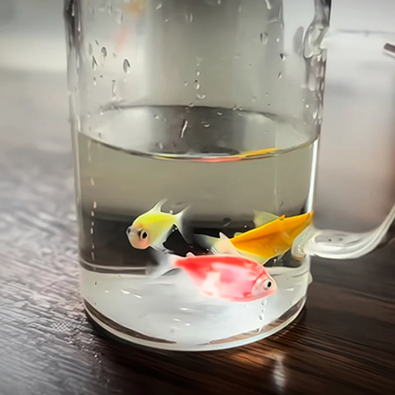 

Лист в рыбу от J.C Волшебные трюки Лист исчезает рыбу Появляется визуальное изменение Магия Сценическое производство Иллюзии Реквизит