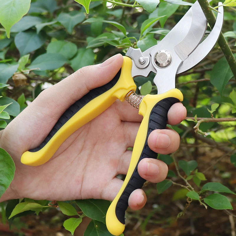 

Pruner Garden Scissors Professional Sharp Bypass Pruning Shears Tree Trimmers Secateurs Hand Clippers For Garden Beak Scissors