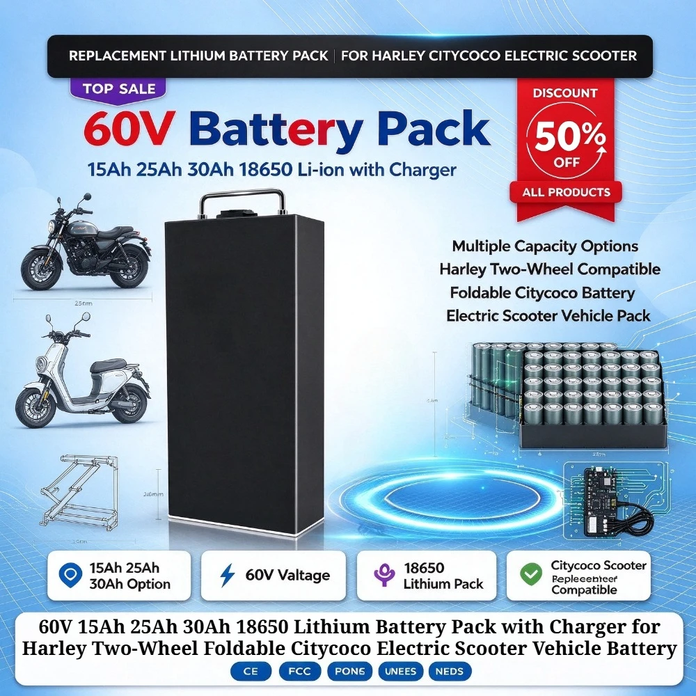 60V 15Ah 25Ah 30Ah 18650 Lithium Battery Pack with Charger for Harley Two-Wheel Foldable Citycoco Electric Scooter Vehicle