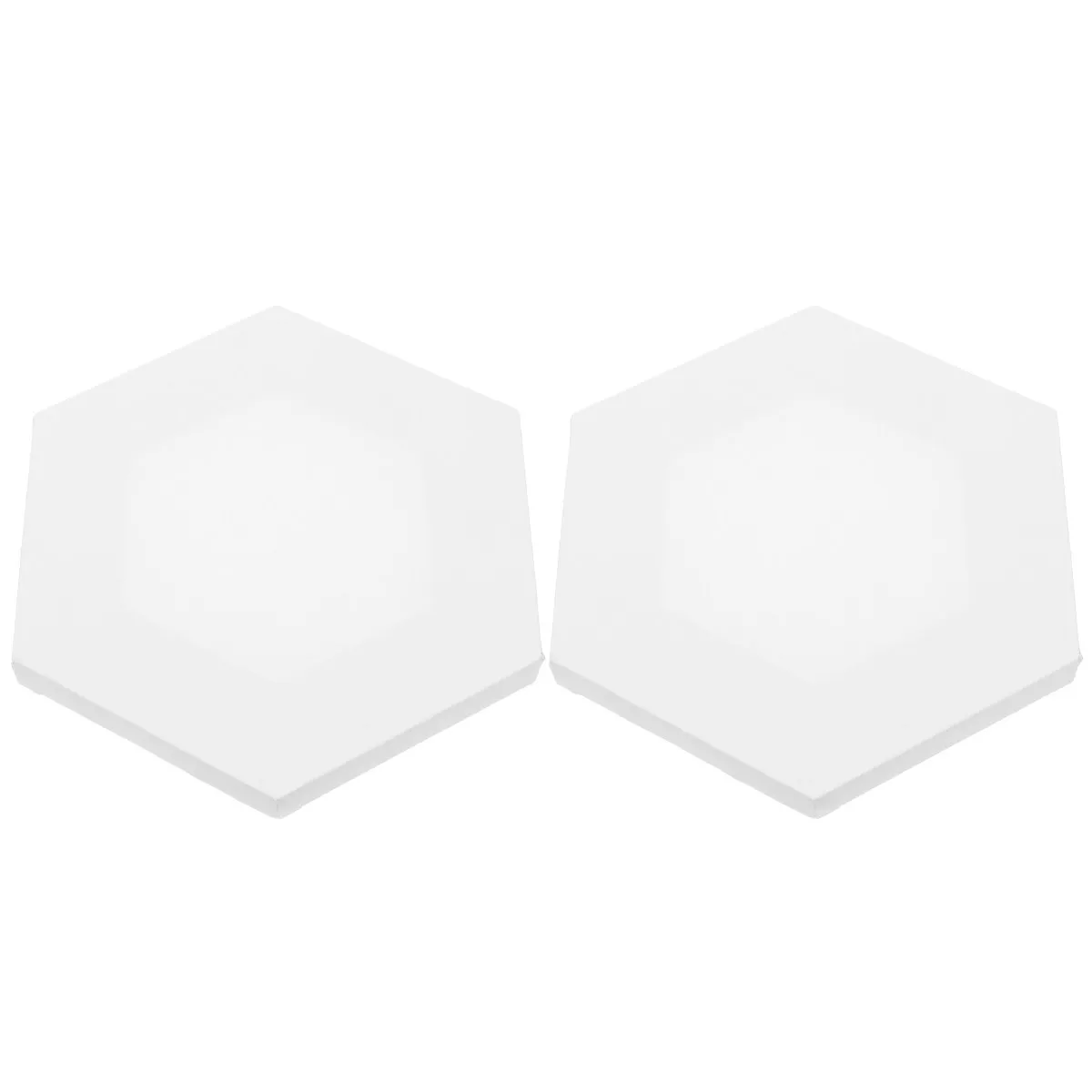 2Pcs Irregular Creative Painting Board Cotton Material for Oil Acrylic Tempera Arts Craft Projects Students Hobbyists Gift White
