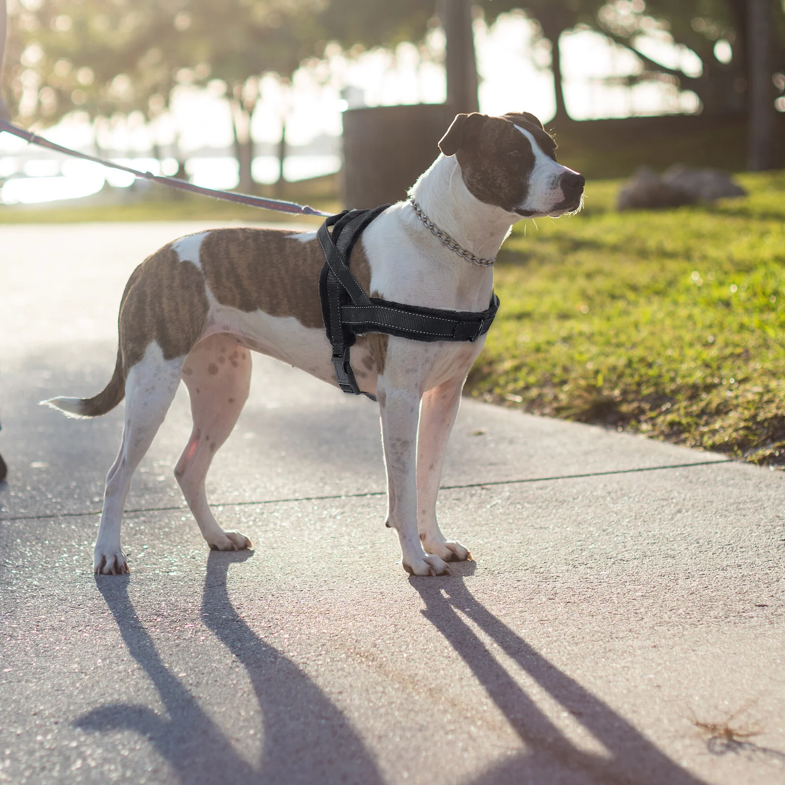 

1Pcs Dog Vest Harness Soft Strong Nylon Pet Chest Clothing for Small Dogs Traction Loop Secure No Hurt Hair Fashionable Outdoor