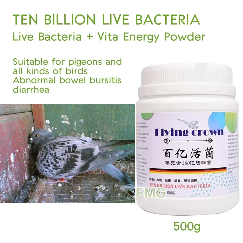 Baiyi live bacteria pigeon finishing dysentery Ten billion live bacteria powder 500g racing pigeon parrot bird intestinal