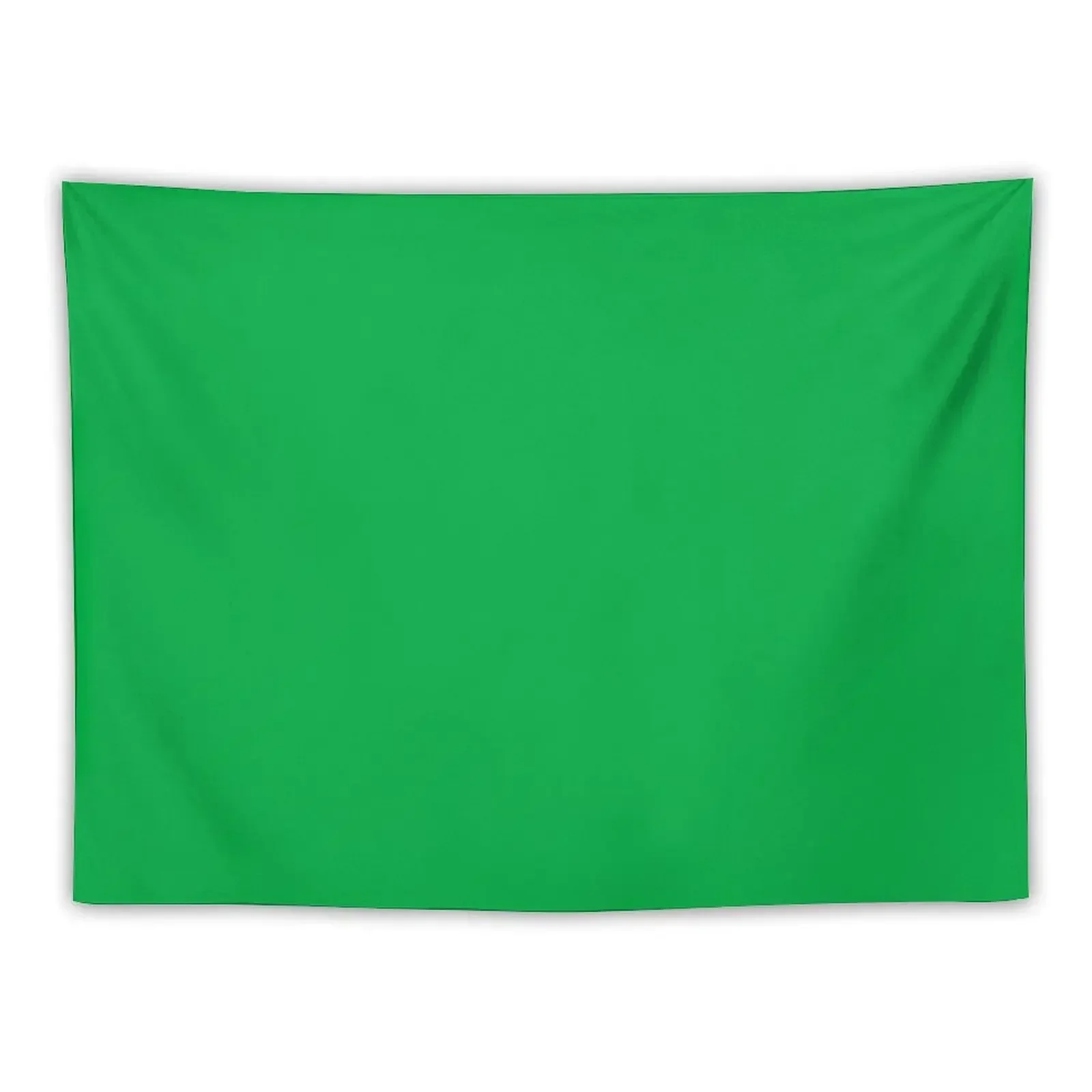 

Professional Green Screen Pantone 354 C Official VFX Greenscreen Color Tapestry Wall Hanging Decoration Aesthetic Tapestry