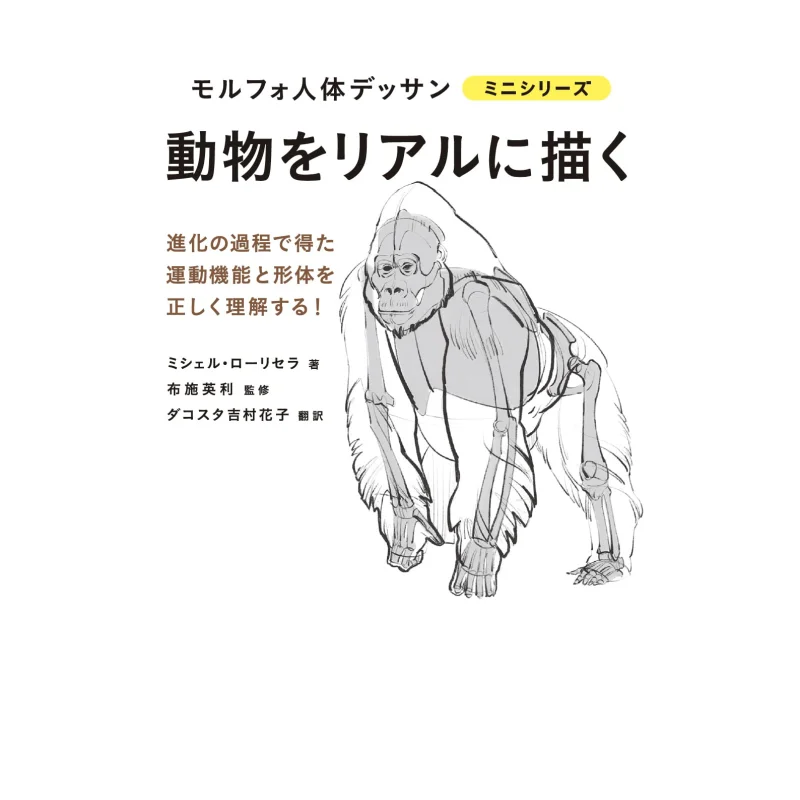 Realistic Depiction Of Animals Michelle Lorisellaby Hidetoshi Fuseedited By Hanako Yoshimura Graphics Company 9784766136951 Book