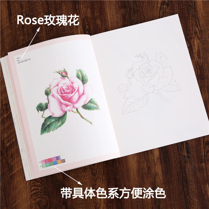 72 Pages 27*22cm Korean Four Seasons Flower Coloring Book Adult Decompression Graffiti Painting Line Art Draft